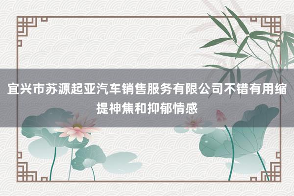 宜兴市苏源起亚汽车销售服务有限公司不错有用缩提神焦和抑郁情感